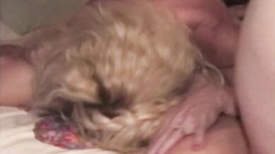 Sexy Swinger Grannies And Their Husbands On Vacation With A Video Camera